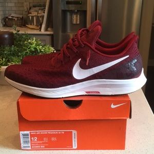 ❗️NEW Nike Air-Zoom Pegasus 35 (Maroon) with Box